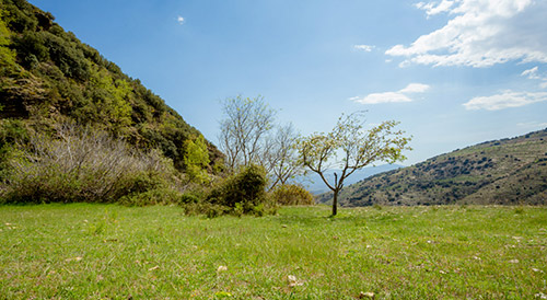 Alpujarra de Almeria, Turismo de Almería