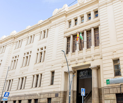 Instituto Celia Viñas