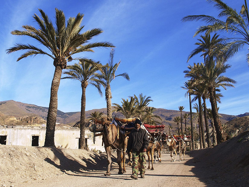 Mi Reino por un Camello caravana uai - Turismo Almería
