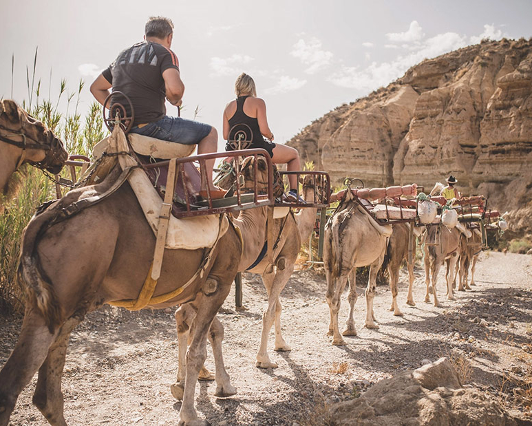 Mi Reino por un Camello rutas uai - Turismo Almería