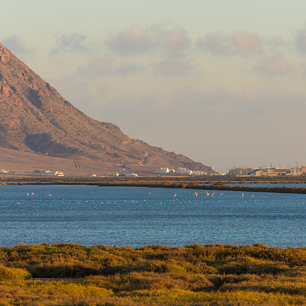 Senderos Cabo de Gata