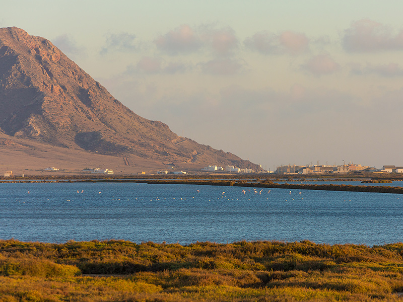 Senderos - Parque Natural de Cabo de Gata - Almería