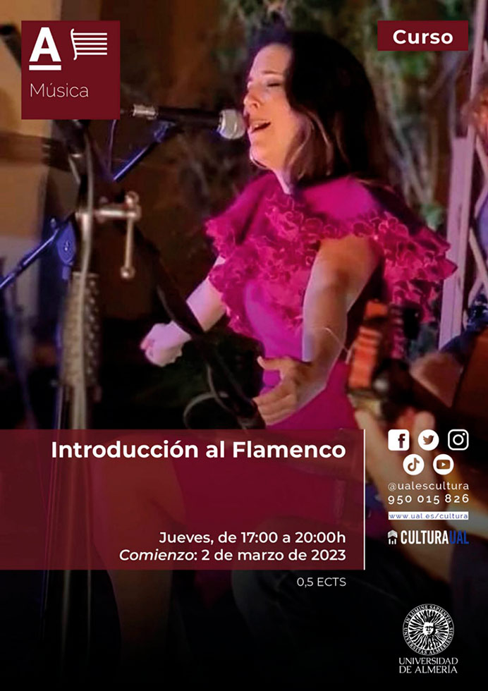 Cartel del curso Introducción al Flamenco