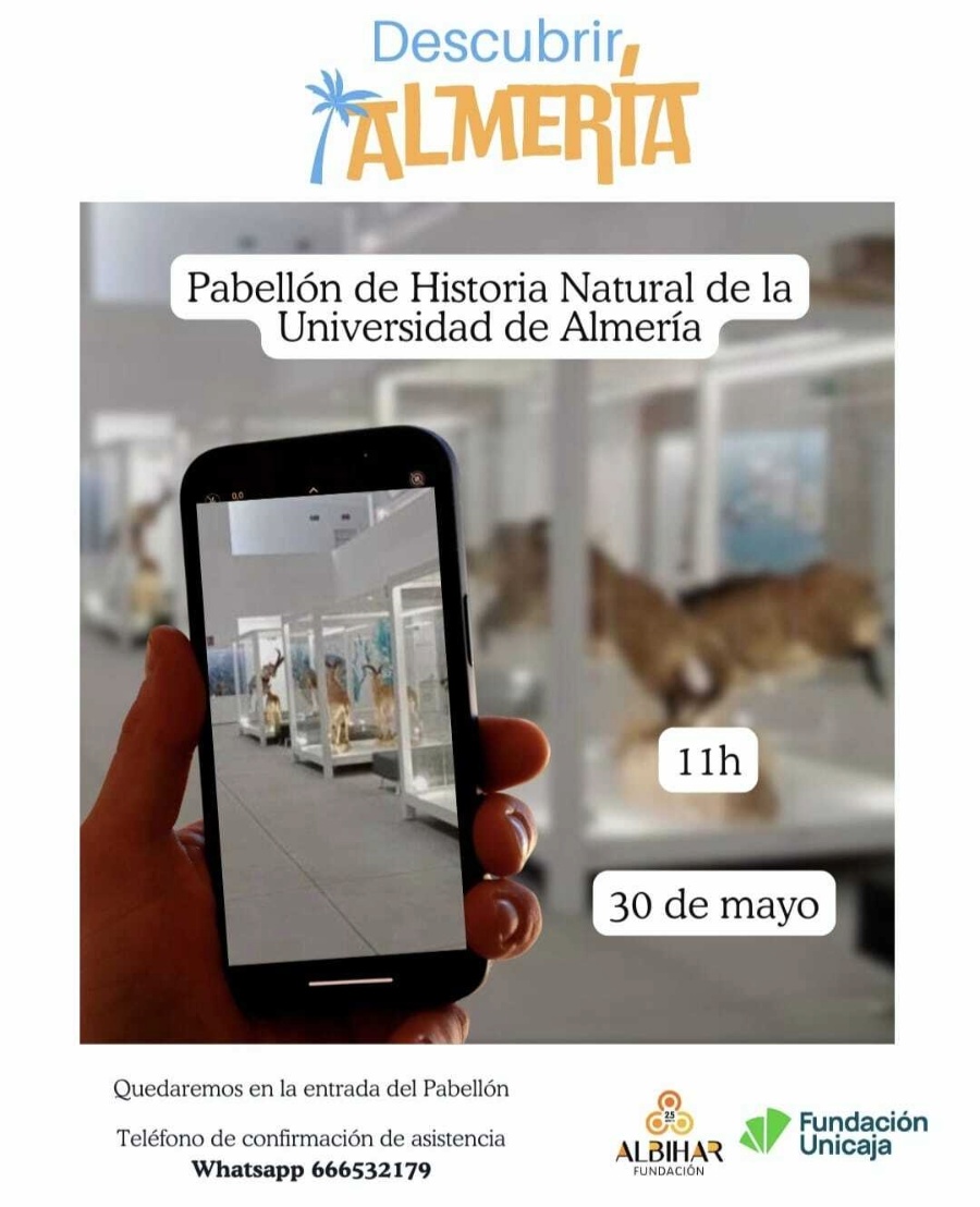 descubrir-almeria-pabellon-de-historia