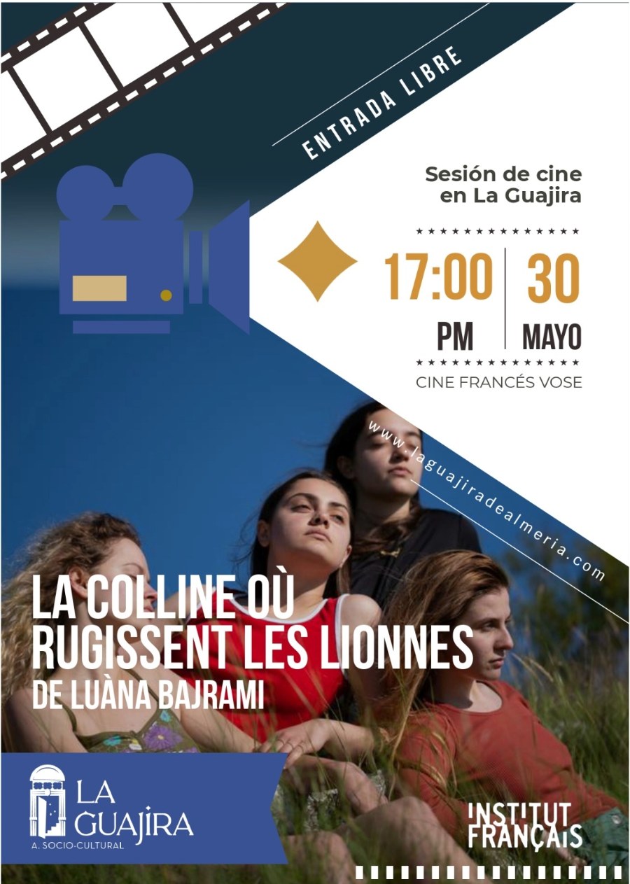 la-colline-ou-rugissent-les-lionnes