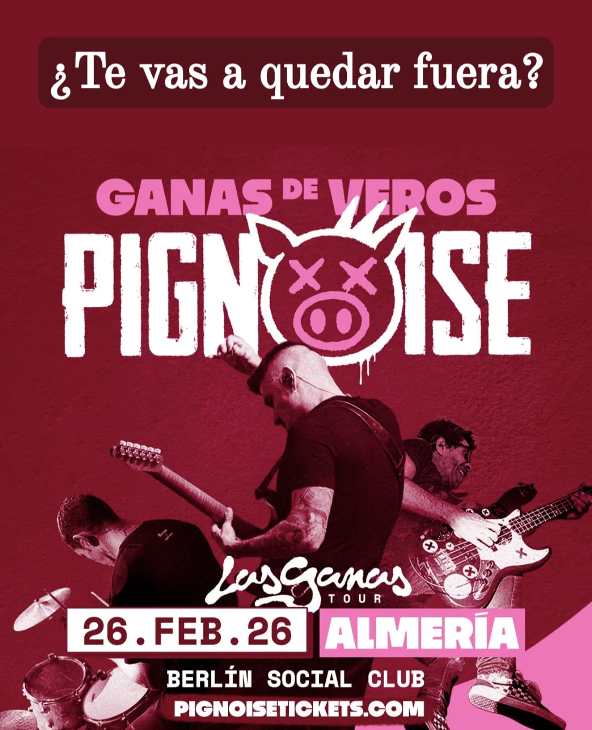Pignoise en concierto