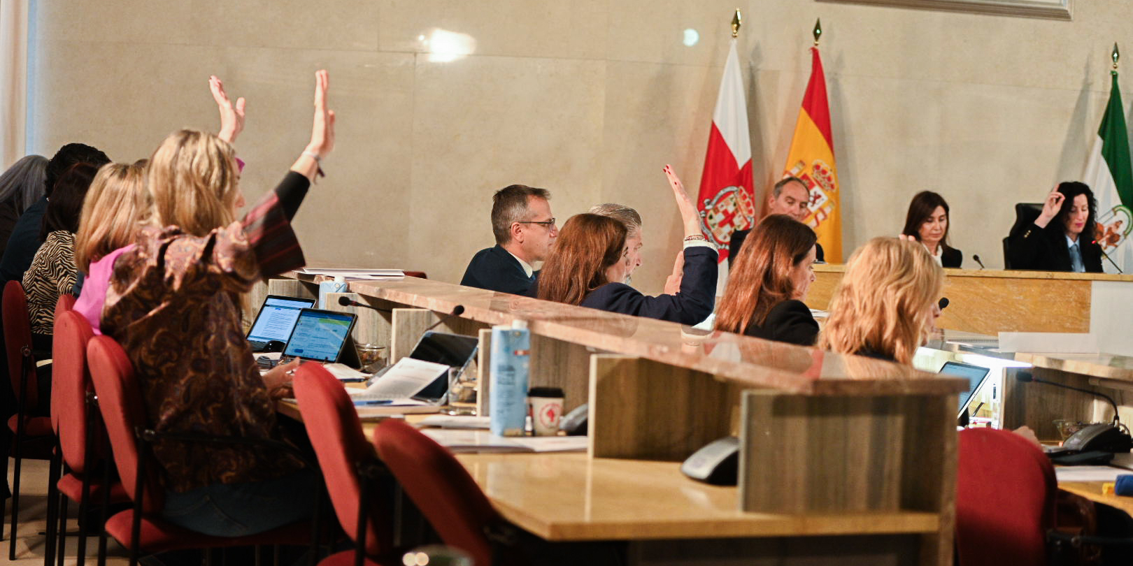 10 2 2026 Pleno Ordinario 61 uai - Turismo Almer&iacute;a