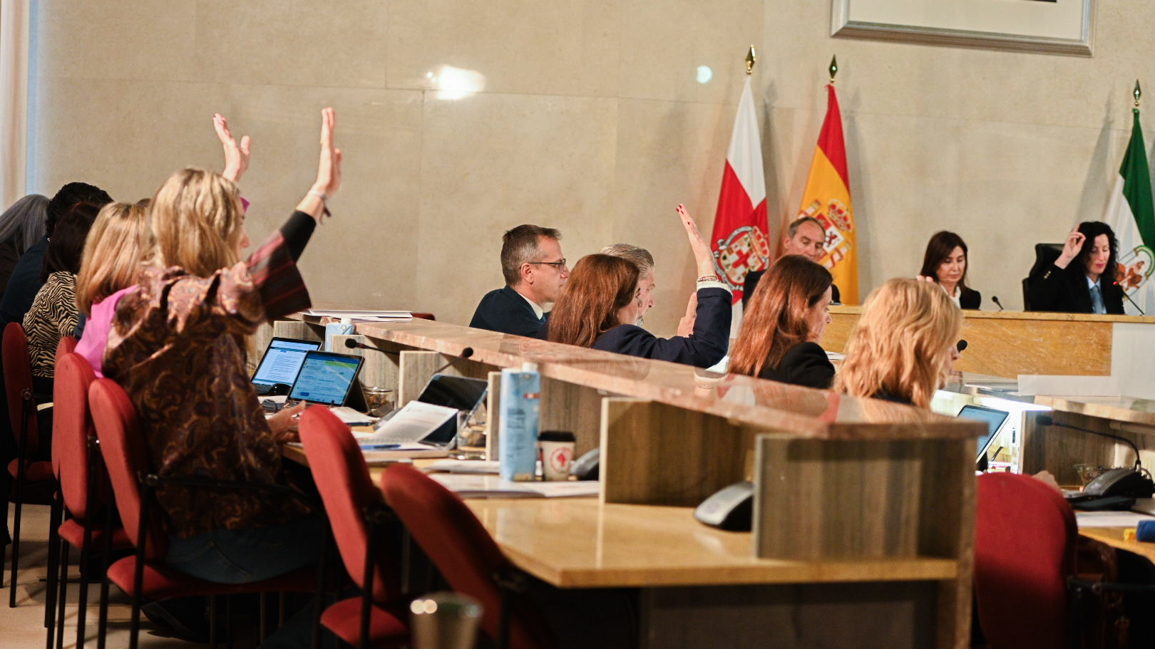 Turismo Almería 10 2 2026 Pleno Ordinario 61 uai - Turismo Almería