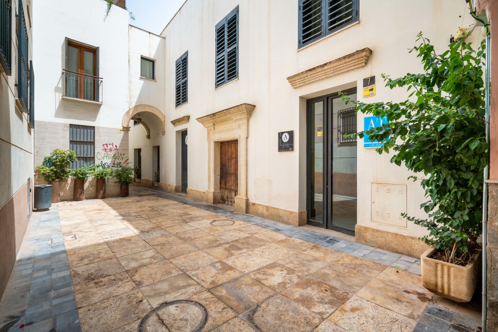 be free arco - Turismo Almería