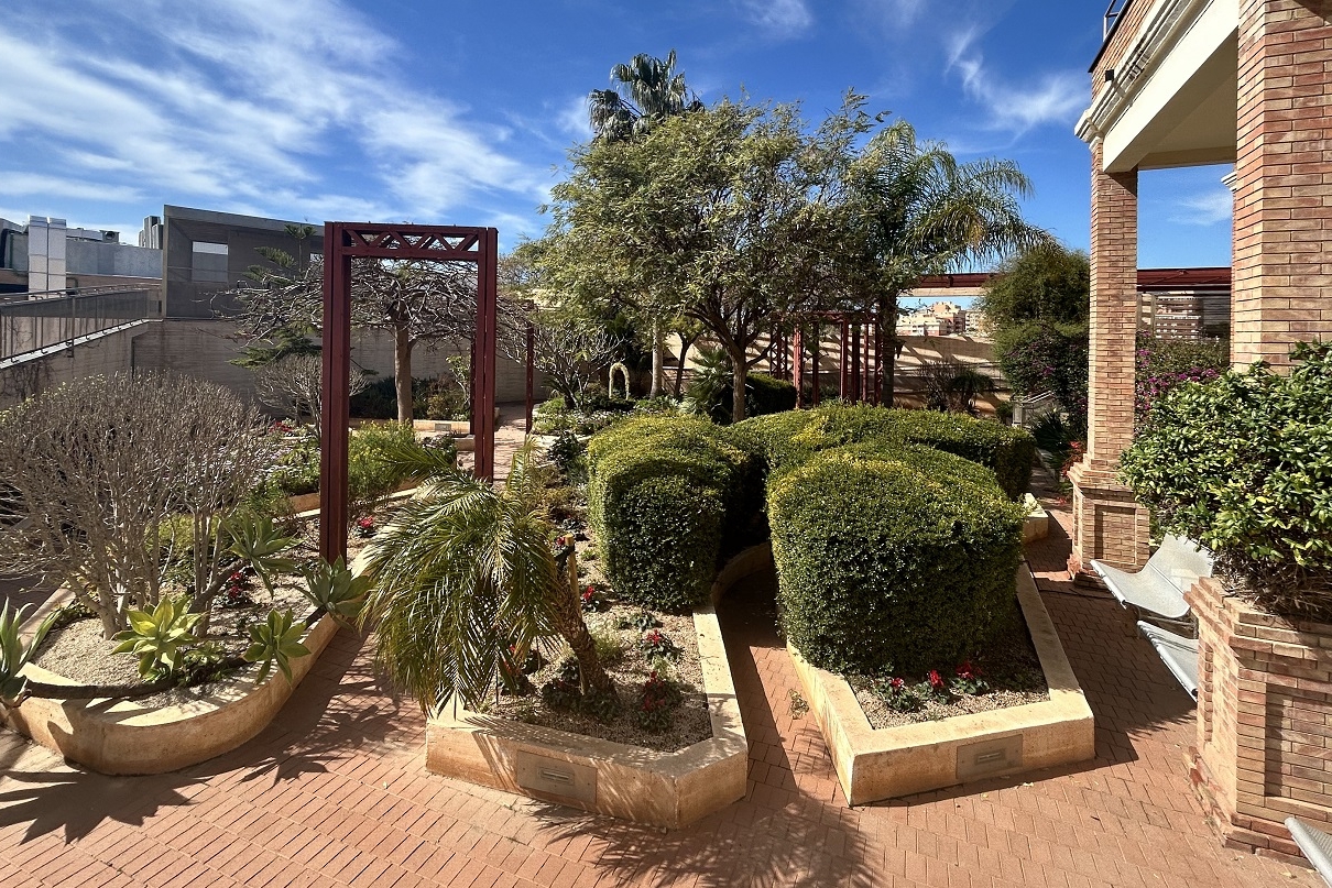 Visita del concejal al jardin de la Casa del Cine 2 uai - Turismo Almería