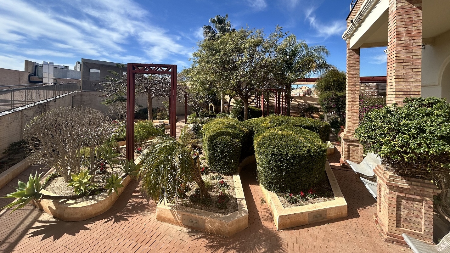 Turismo Almería Visita del concejal al jardin de la Casa del Cine 2 uai - Turismo Almería