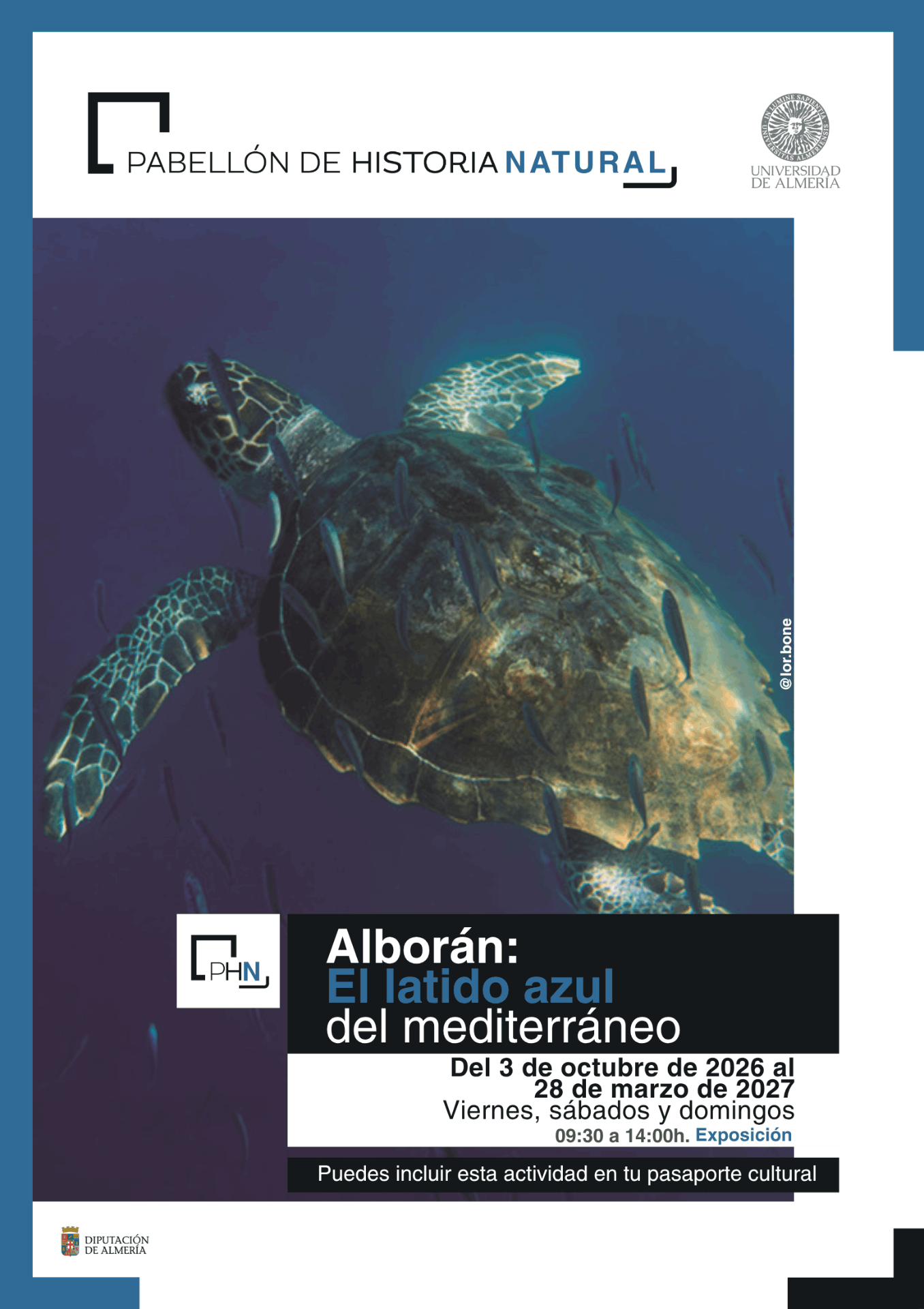 Cartel de la exposición Alborán: El latido azul del Mediterráneo en el Pabellón de Historia Natural de la Universidad de Almería